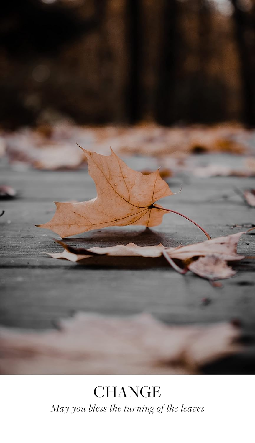 Earth Blessings Oracle Cards: Connect with the Healing Power of Nature (A 48 Card Deck with Guidebook) image number 4