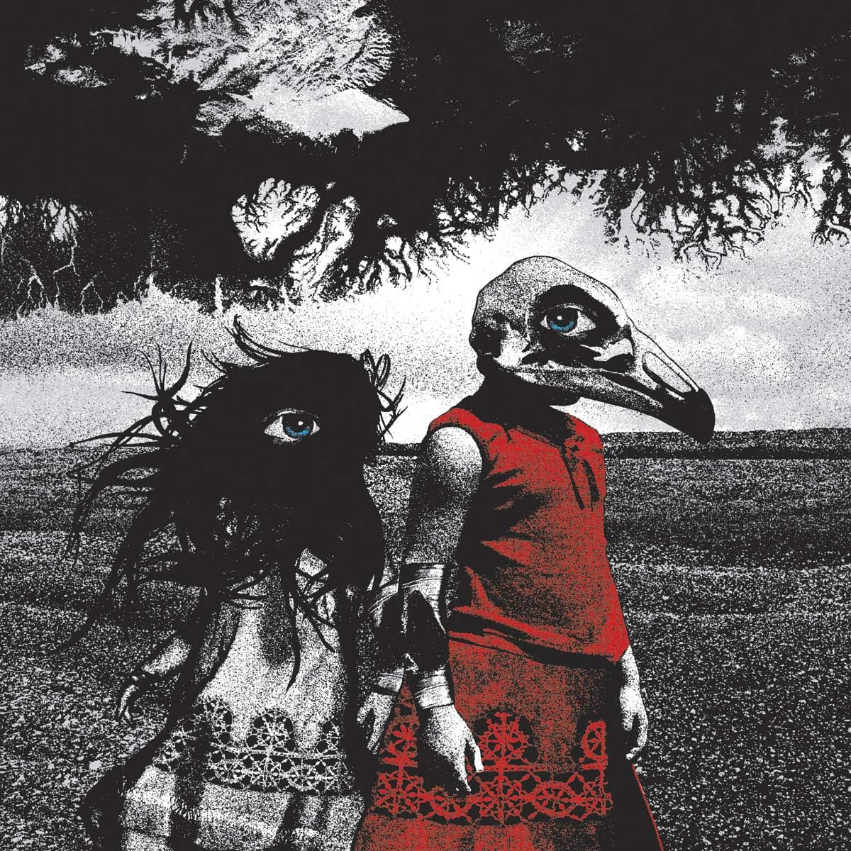 Albatross Albatross image number 1