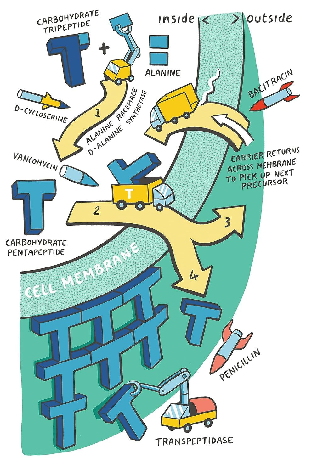 Clinical Pharmacology Made Ridiculously Simple image number 2