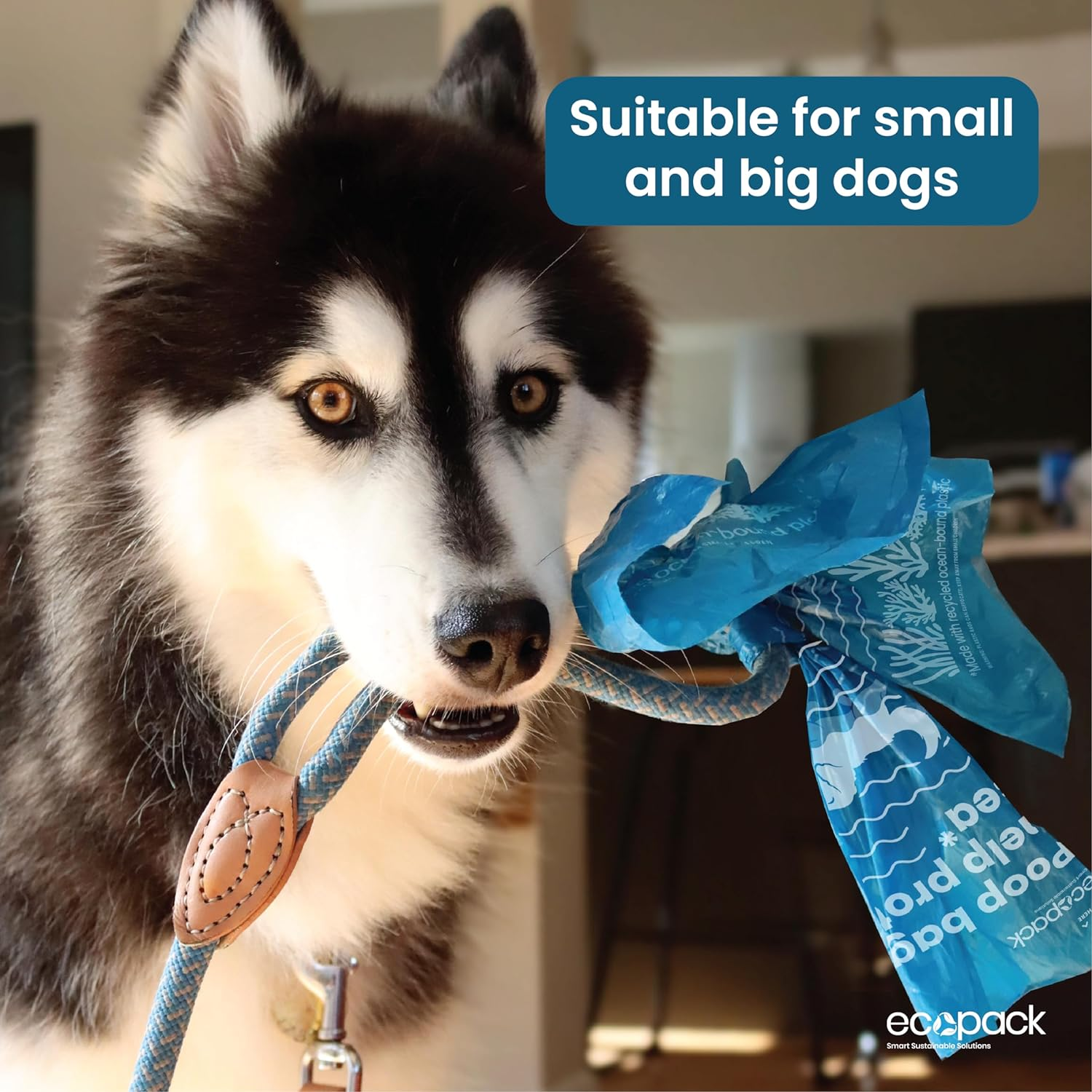 Ecopack Dog Poop Bags &ndash; 300 Extra Thick, Leak-Proof Pet Waste Bags | Unscented Recycled Plastic | Easy-Dispense Box | Eco-Friendly Poo Bags for Dogs & Cats image number 3