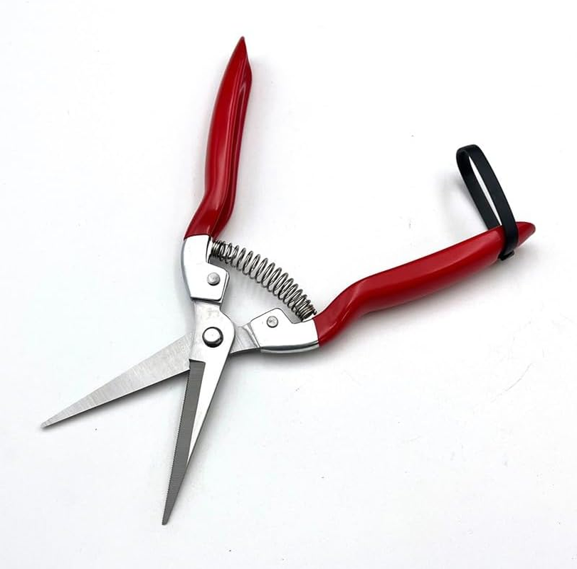 Straight Stainless Steel Pruner Pruning Shears Clippers Snips &ndash; Sharp Bonsai Cutter Plant Trimming Scissors &ndash; Straight Blade Garden Scissors Tool &ndash; Great for Roses Flowers Herbs Fruits image number 6