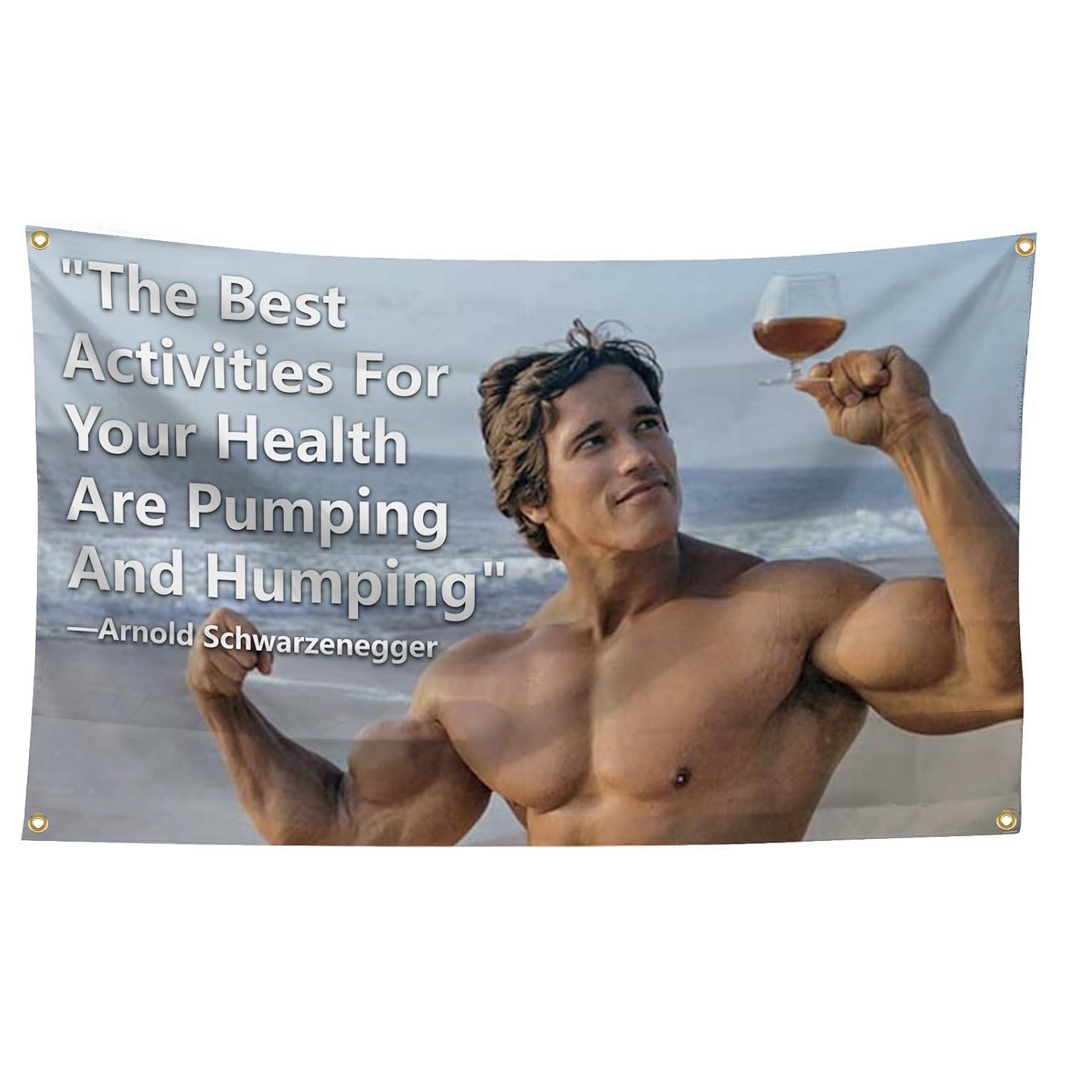 Arnold Schwarzenegger You Can Have Results or Excuses. Not Both. 3X5 Feet Flag Inspirational Poster Durable Man Cave Wall Flag with Brass Grommets This Beautiful Entertaining Banner Flag for College