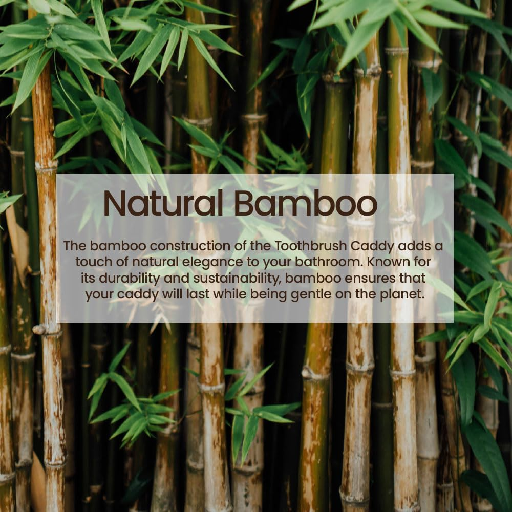 Eco Basics Toothbrush Organiser Caddy, White &ndash; Bamboo & Corn Resin, Eco-Friendly, Holds Multiple Toothbrushes, Durable & Easy to Clean, Stylish Design, Perfect for Bathroom, 11.5 X 6 Cm image number 1