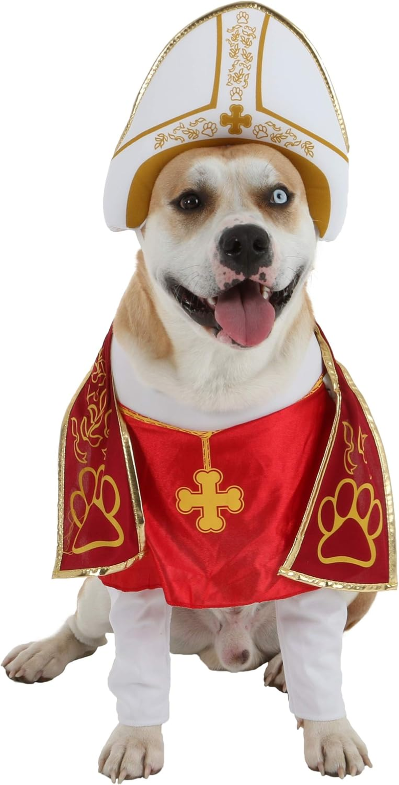 California Costume Collections Holy Hound Dog Costume, Large