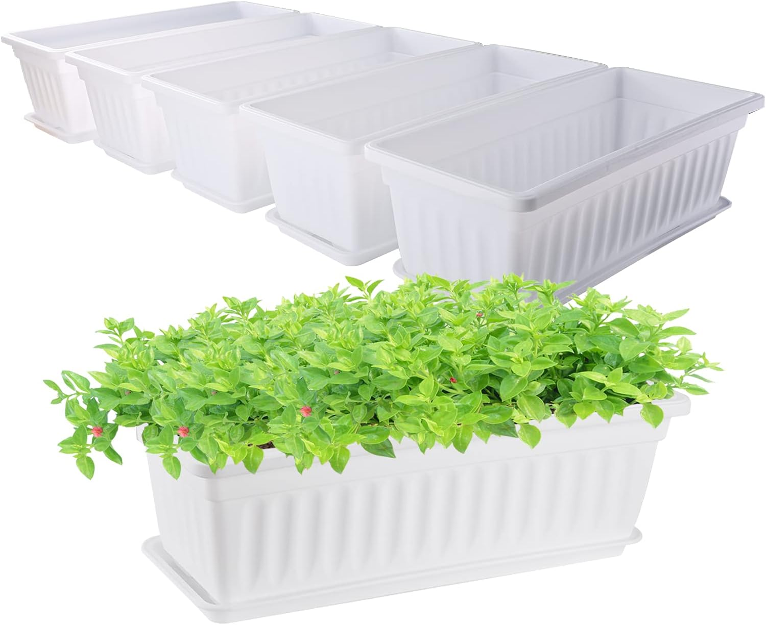 Black Rectangle Window Boxes, Greaner 3 Pack 12X3.8 Inch Herb Planters with Tray, Indoor Succulent Cactus Mint Plastic Pot for Windowsill, Garden Balcony, Office Outdoor Decoration