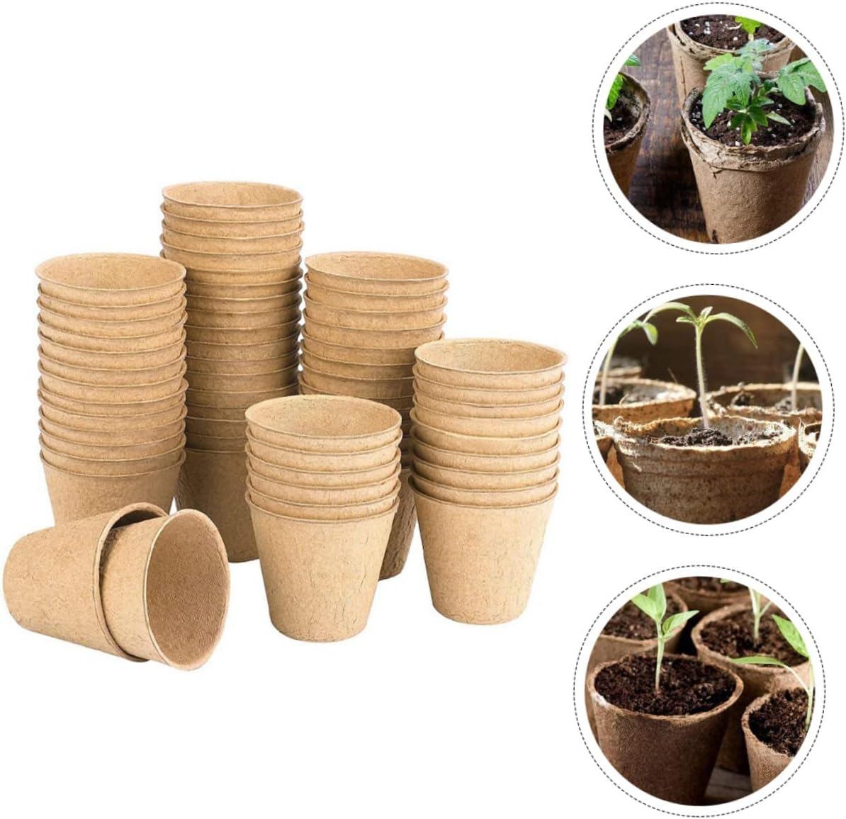 Parliky 1 Set Seedling Paper Cup Mini Pots for Plants Biodegradable Pulp Germination Cups Gardening Supply Nursery Plant Pots 8Cm 50Pcs image number 2