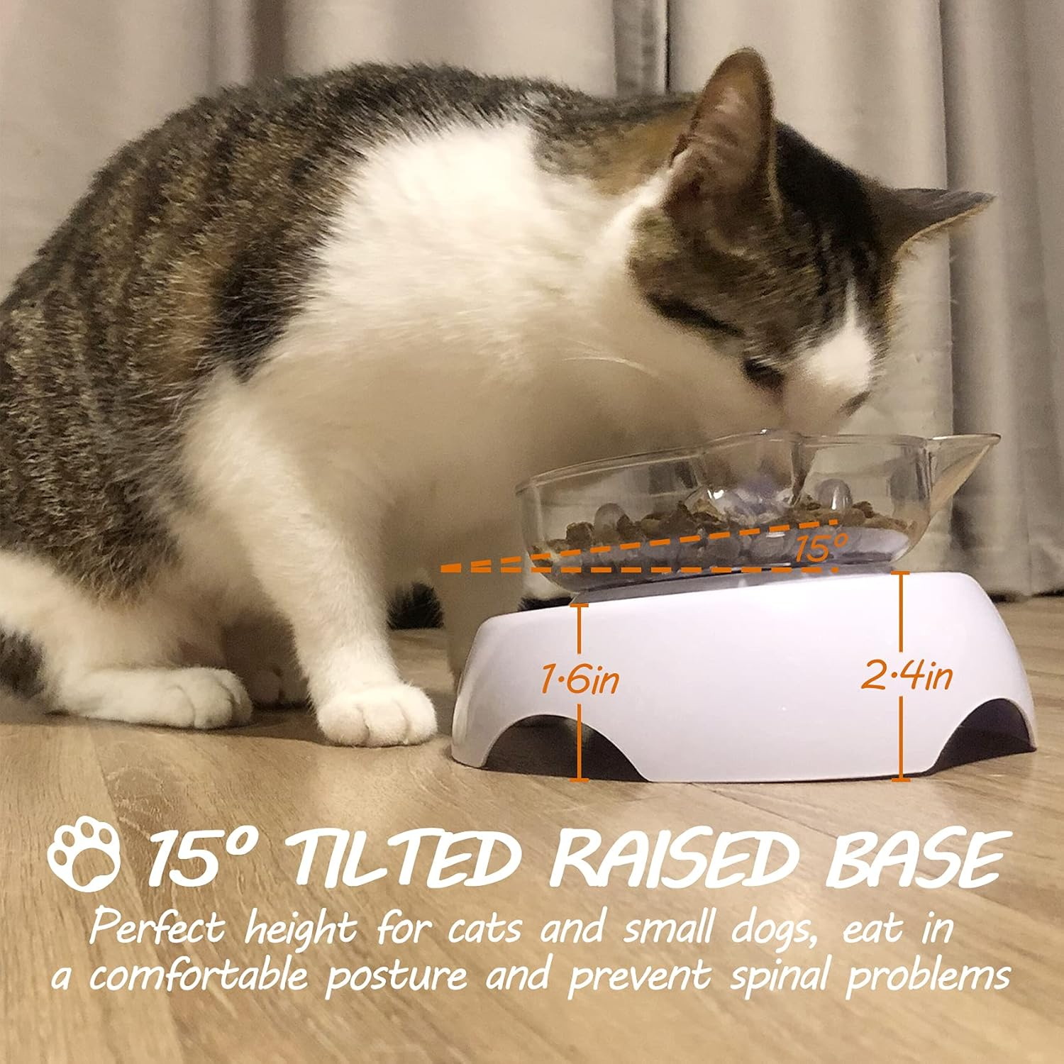 3 in 1 Pet Raised Slow Feeder, Cats Dogs Food Bowls with Stand, 15&deg; Tilted Pet Bowls for Cats and Small Size Dogs, Backflow Prevention, Easy to Clean/59 image number 5