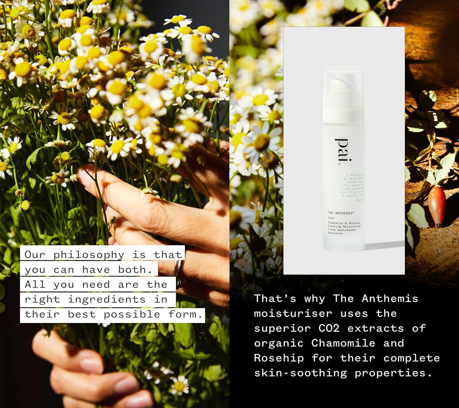 Moisturisers & Toners by Pai Skincare Chamomile & Rosehip Calming Day Cream 50Ml image number 6