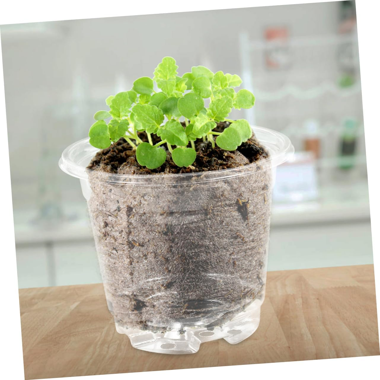 GAROZATION 10Sets Plant Pots Insulated Nursery Pots Drainage Seedling for Outdoor Flower for Garden Supply image number 4