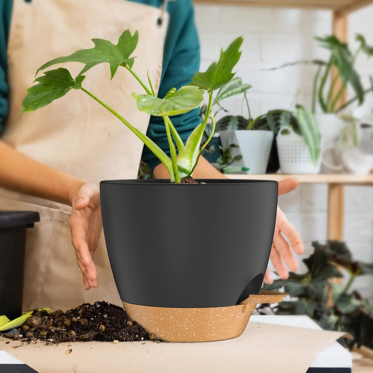 ZMTECH 20 Cm Plant Pots with Drainage Holes Saucer Self Watering Planters with Watering Inlet Plastic Flower Pot for Indoor Outdoor Plants (Set of 2, Black) image number 5