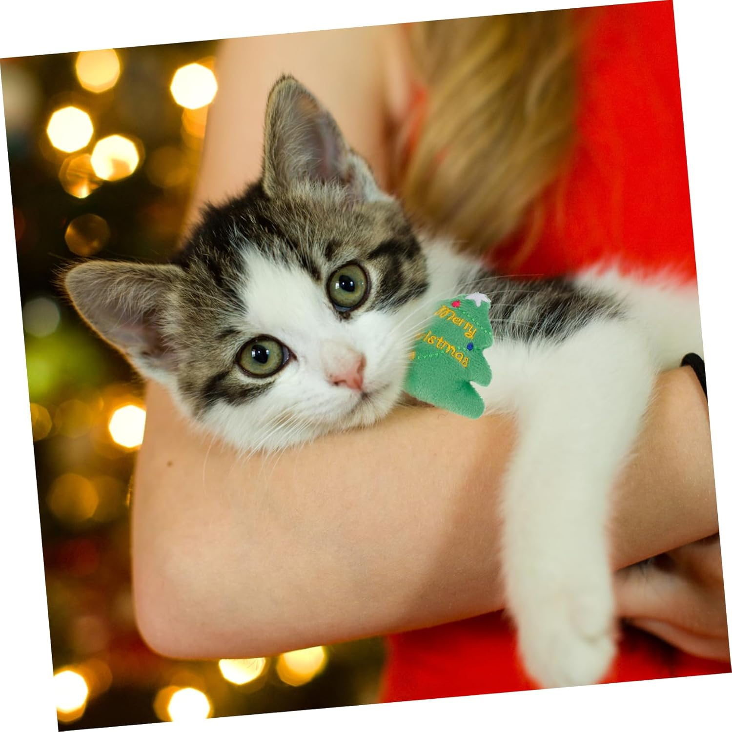 3Pcs Plush Christmas Pet Toy Penguin Snowman Christmas Tree Safe Chew Toys for Dogs and Cats Strengthens Bonding Keeps Pets Entertained image number 4