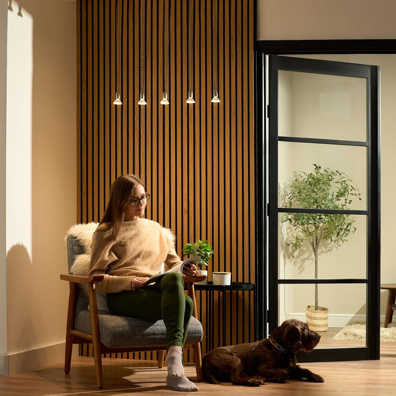 Greenandco 10X MR16 GU5.3 | Dimmable | Replaces 45W | Warm White 3000K | CRI 90+ | 6.5W 510 Lm | 38&deg; | Flicker-Free | COB LED Spot | 12V AC/DC image number 4