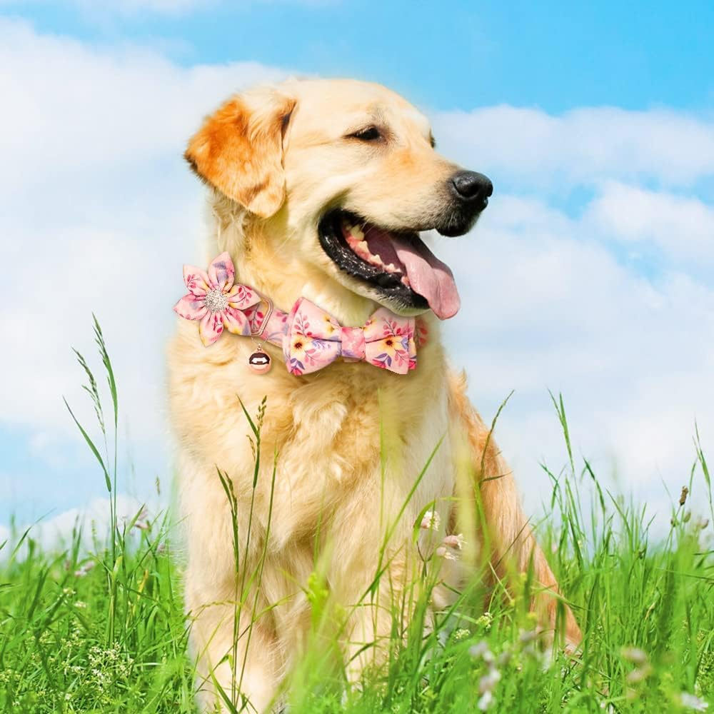AUAUY Dog Collar and Leash Sets, Flower Girl Floral Pattern Engraved Pet Collars with Adjustable Strong Gold Buckle Collars with Beautiful Bowtie and Little Bell for Small Medium Large Dogs(Pink L) image number 2