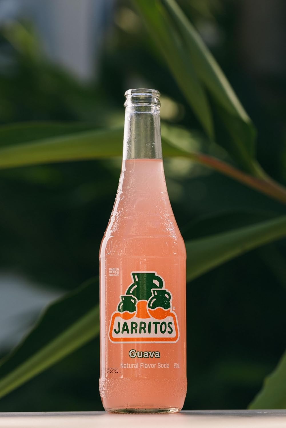 Jarritos Guava Soda, 24 X 370 Ml, Glass Bottles image number 1