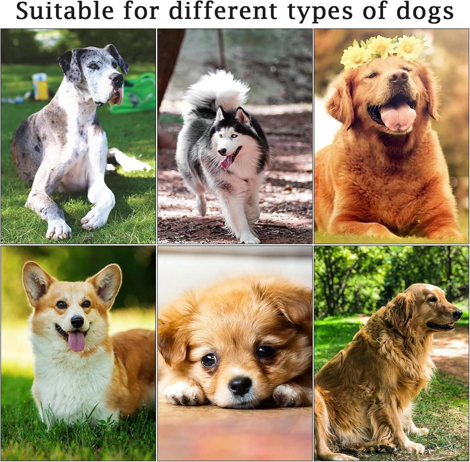 Retractable Dog Lead, 5M/16FT Extendable Dog Training Lead with Strong Nylon Tape, Tangle-Free One-Handed Brake&Pause, Lock for Small Medium Dogs (Blue) - Green image number 4