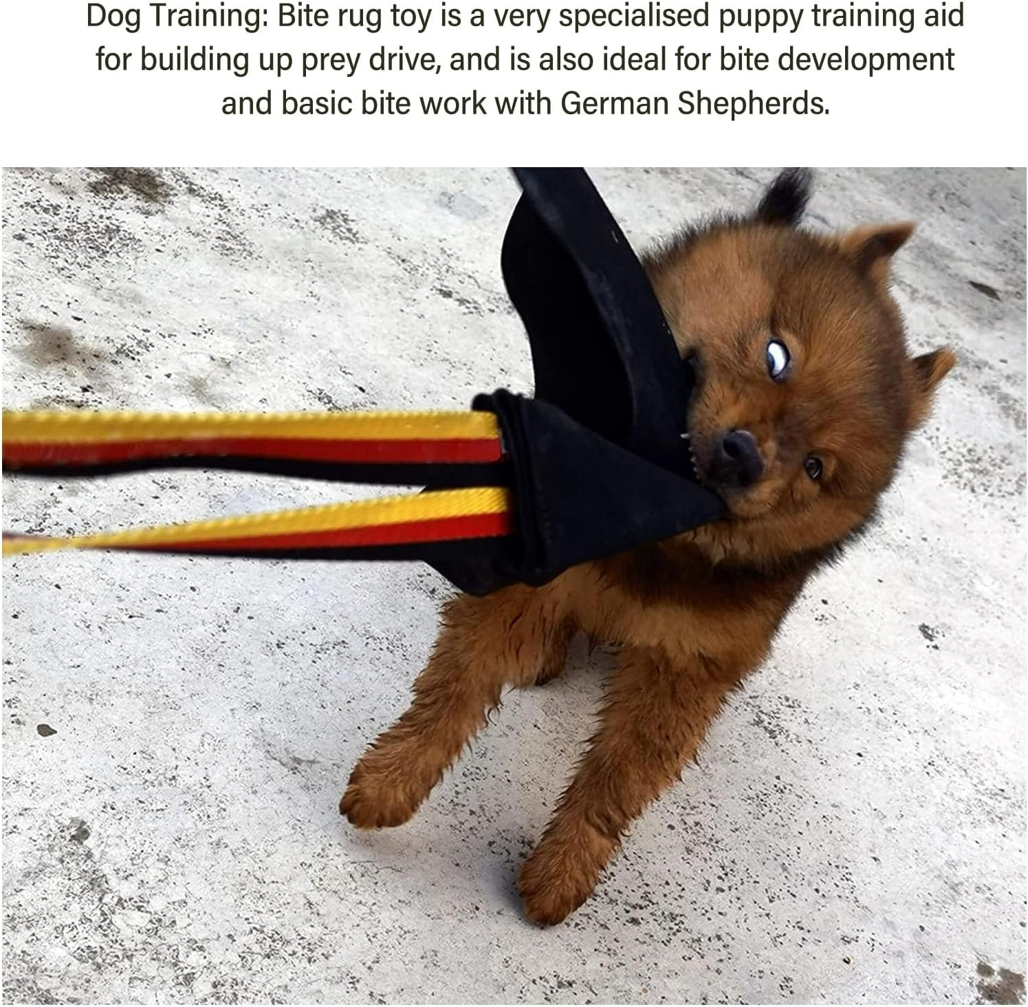 Bite Rag for Dogs Train Bitegrip, Build Prey Drive Leather Interactive Tug of War Toy with Handle for Dog Training, Leather Tug image number 1