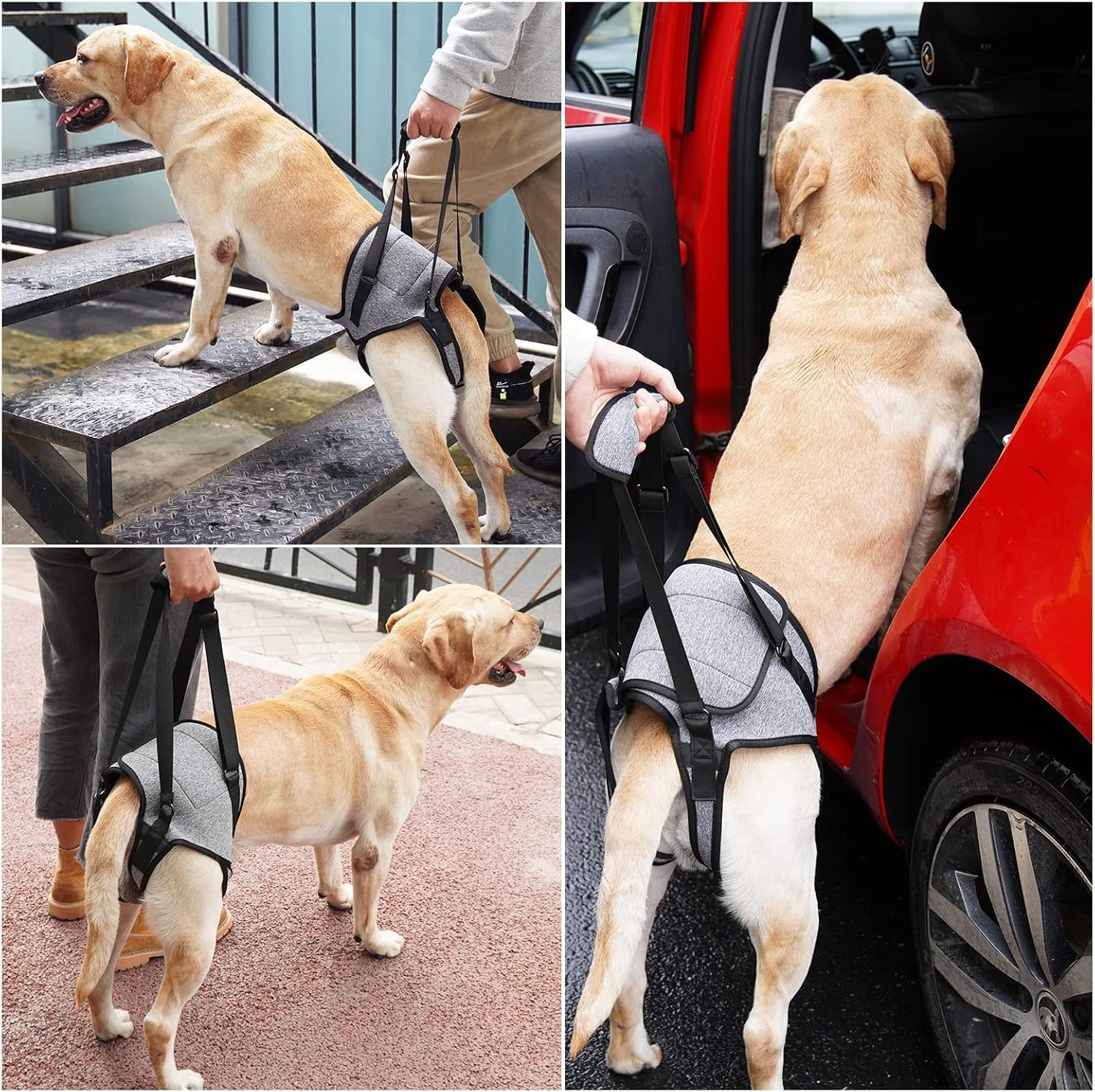 SOVYOULIVE Adjustable Dog Lift Harness Dog Sling for Large Dogs Hind Leg Support Soft Lift Support and Rehab Harness for Weak Rear Legs (L) image number 2