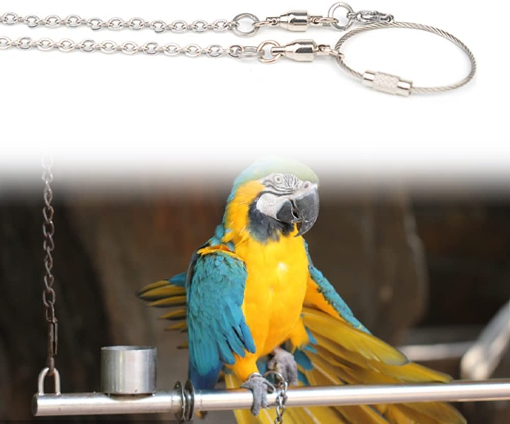 XUSUD Bird Foot Rings Stainless Steel Split Bird Rope Rings Anti-Bite Bird Training Chains for Parrot or Starling Bird Pets image number 3