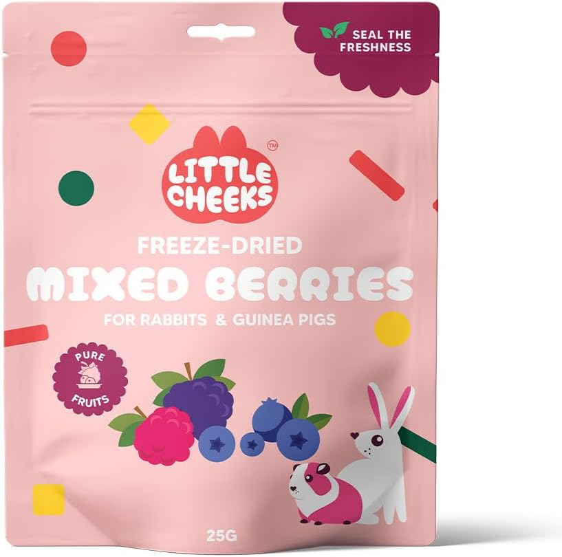 Freeze Dried Mixed Berries for Small Animals 25G