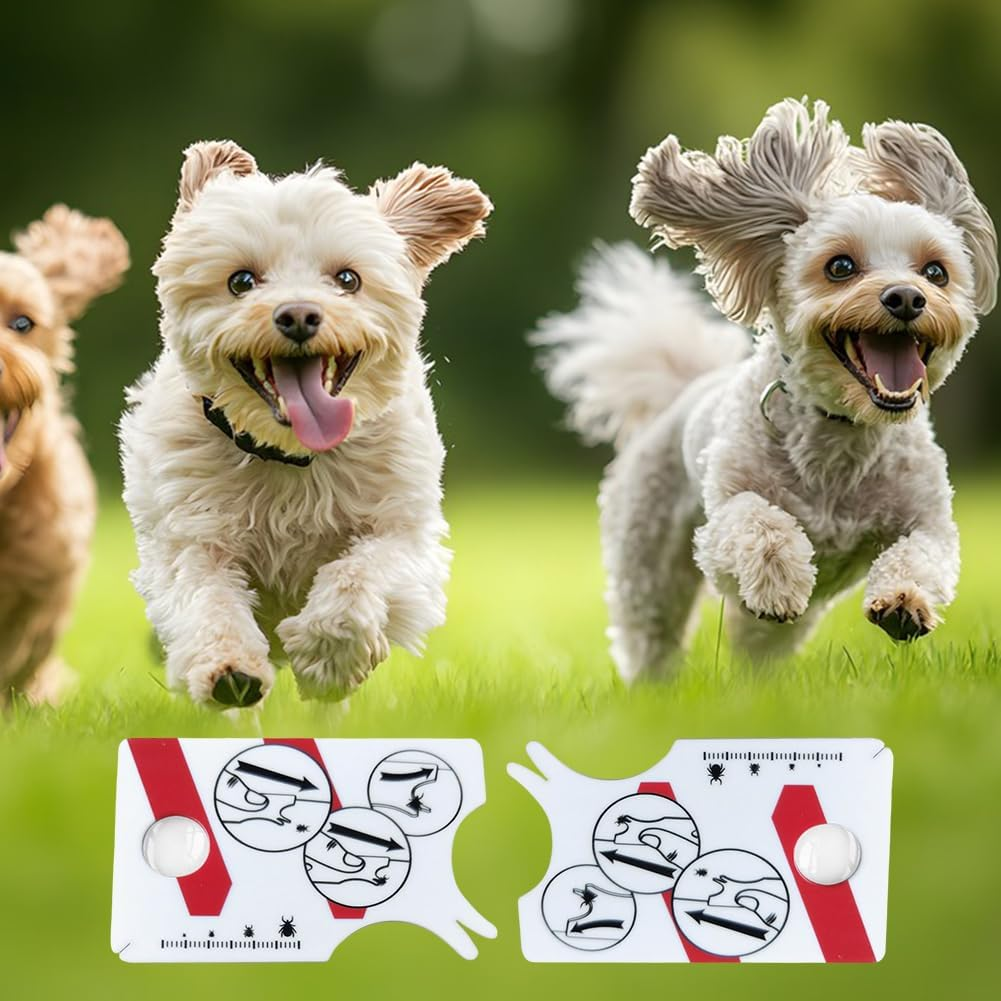 Tick Card with Magnifying Glass, Pack of 2 Tick Cards for Dogs, Cats, Tick Cards with Magnifying Glass, Compact and Portable, Easy to Use, Quick Cleaning of Ticks, Tick Cards for People, Children image number 6