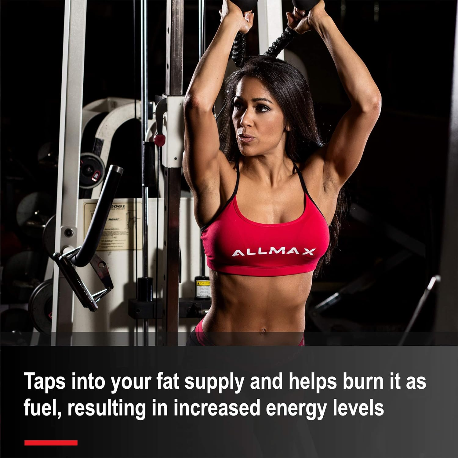 ALLMAX LIQUID L-CARNITINE Blue Raspberry 16Oz image number 2