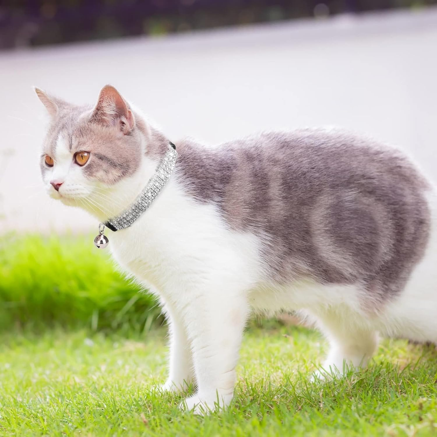 BINGPET Diamond Cat Collar, Adjustable Soft Velvet Leather Safe Kitten Collar with Shiny Rhinestones and Bells, Girl Boy Bling Stylish Cat Collars with Safety Elastic for Small Medium Cats,Black - Black image number 2
