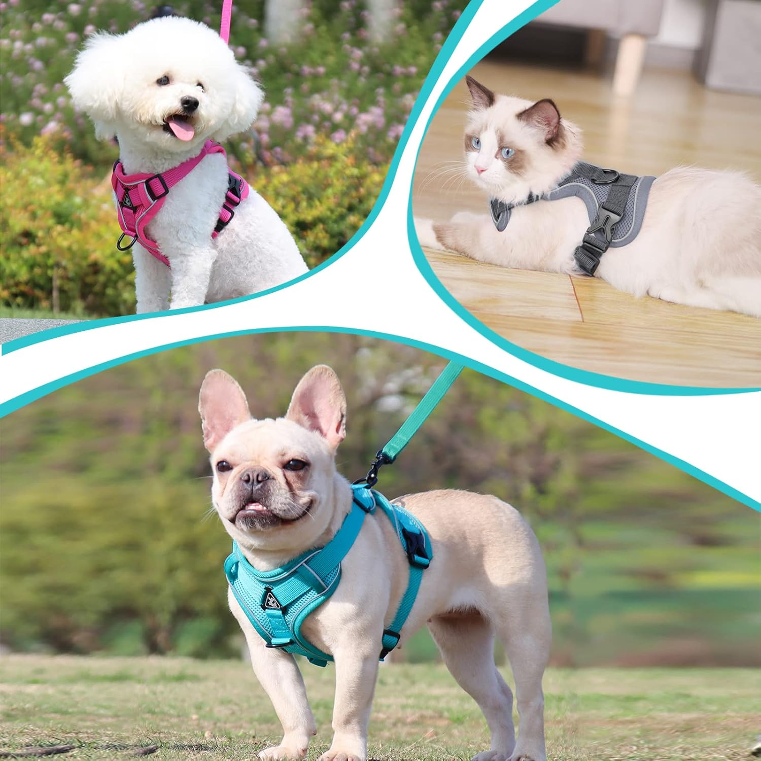 Cat Harness and Lead Set, Adjustable Kitten Harness and Lead Set with Reflective Strips Escape-Proof, Cat Vest Harness with Leash Sets for Cats Dogs Pets Walking (Lake Blue, S) image number 4