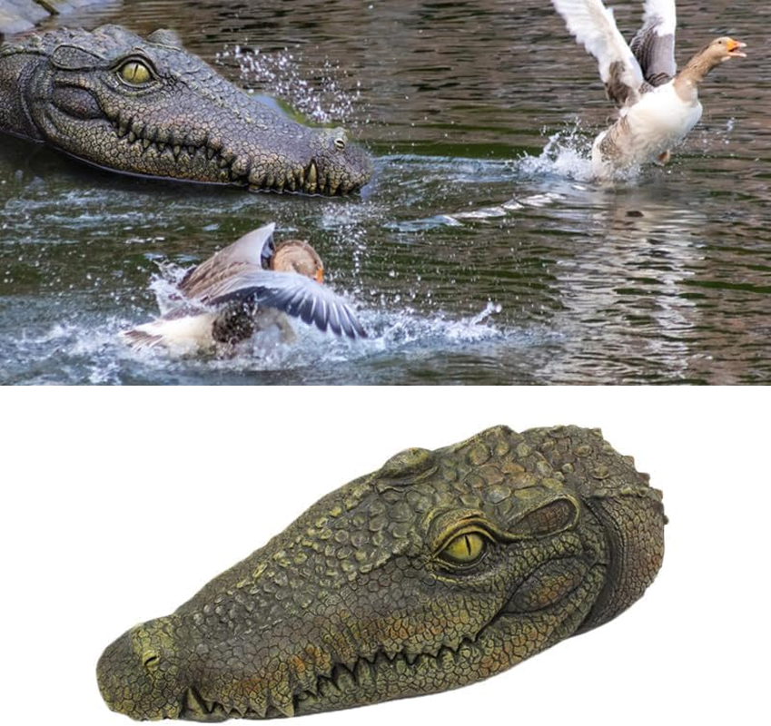 Floating Alligator Head Decoy for Pools and Ponds, Realistic Crocodile Deterrent for Ducks, Geese, and Birds - Easy to Use and Move, Durable - Geiwogwc (Green Eye)