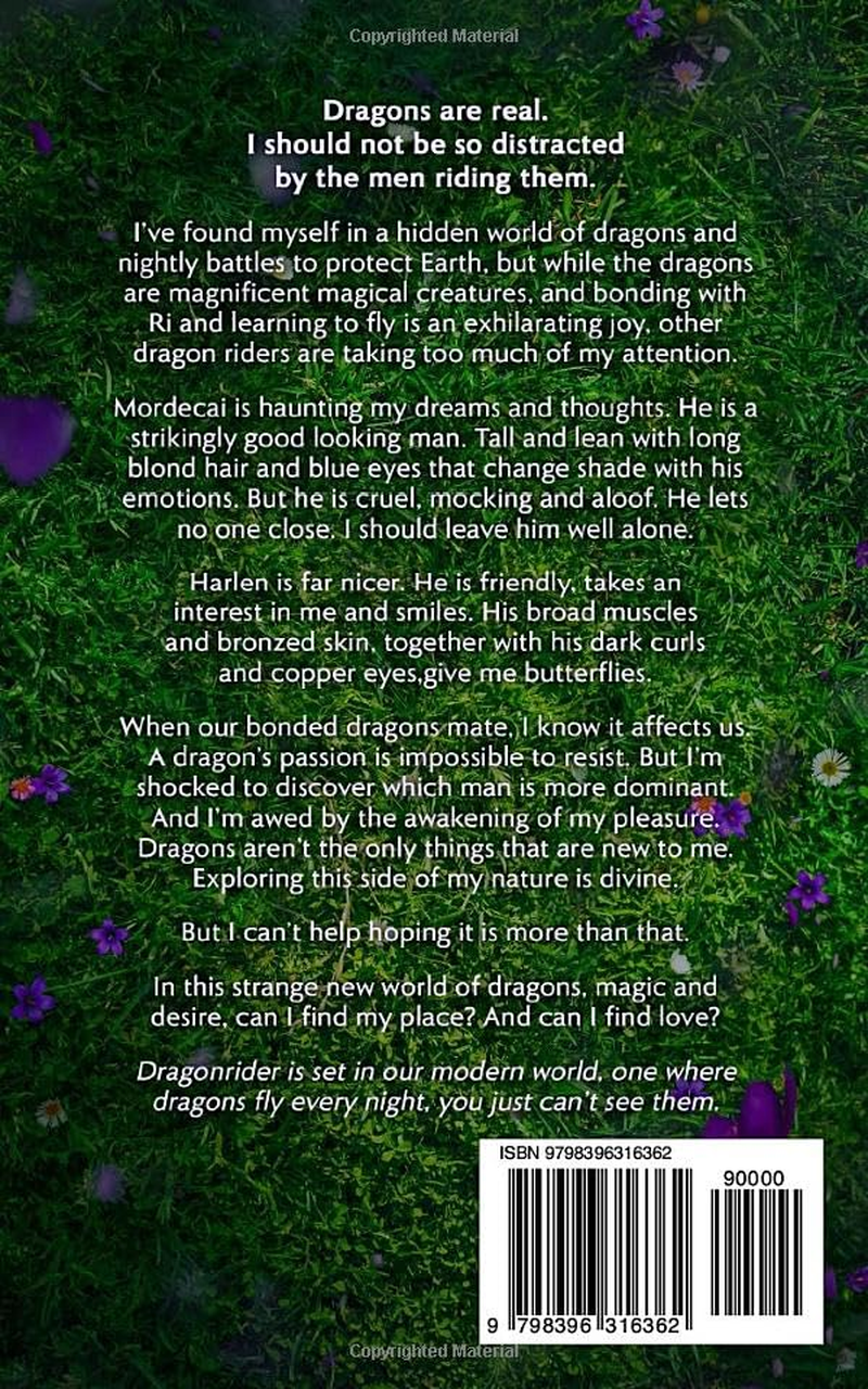 Dragonrider Dragonrider image number 2