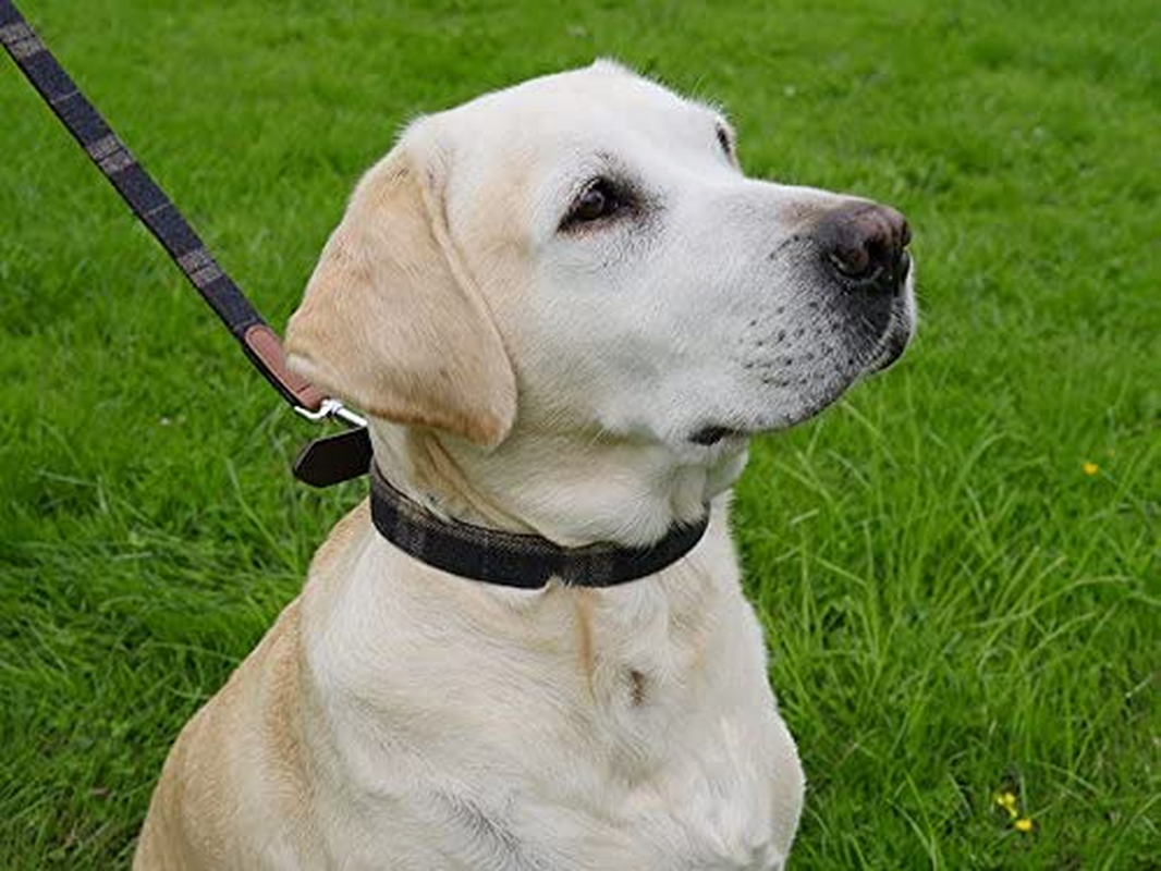 Rosewood Luxury Leather Tweed Check Dog Collar, Medium image number 4