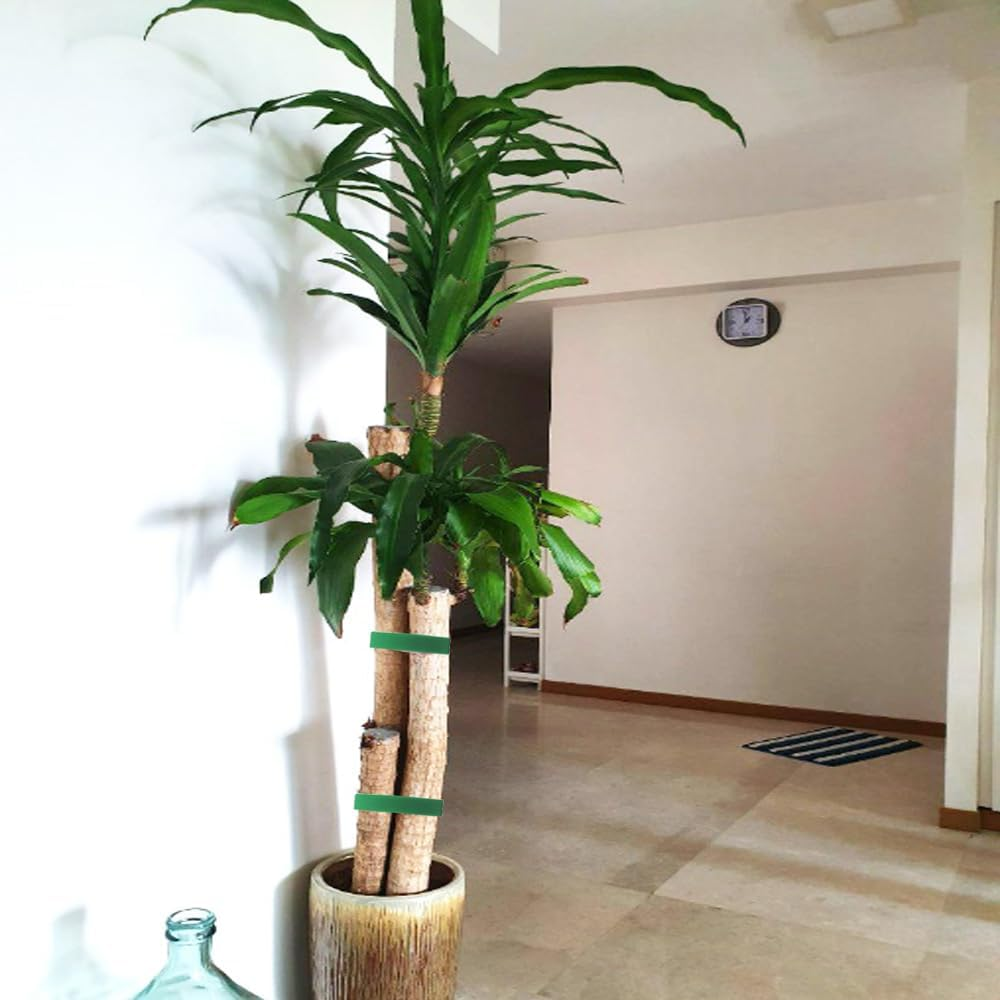 80 Feet Garden Tie Tape, Betterjonny 1.2Cm Reusable Plant Ties for Climbing Plants Green Nylon Adjustable Plant Support for Flowers, Tomato, Vines, Tree image number 6