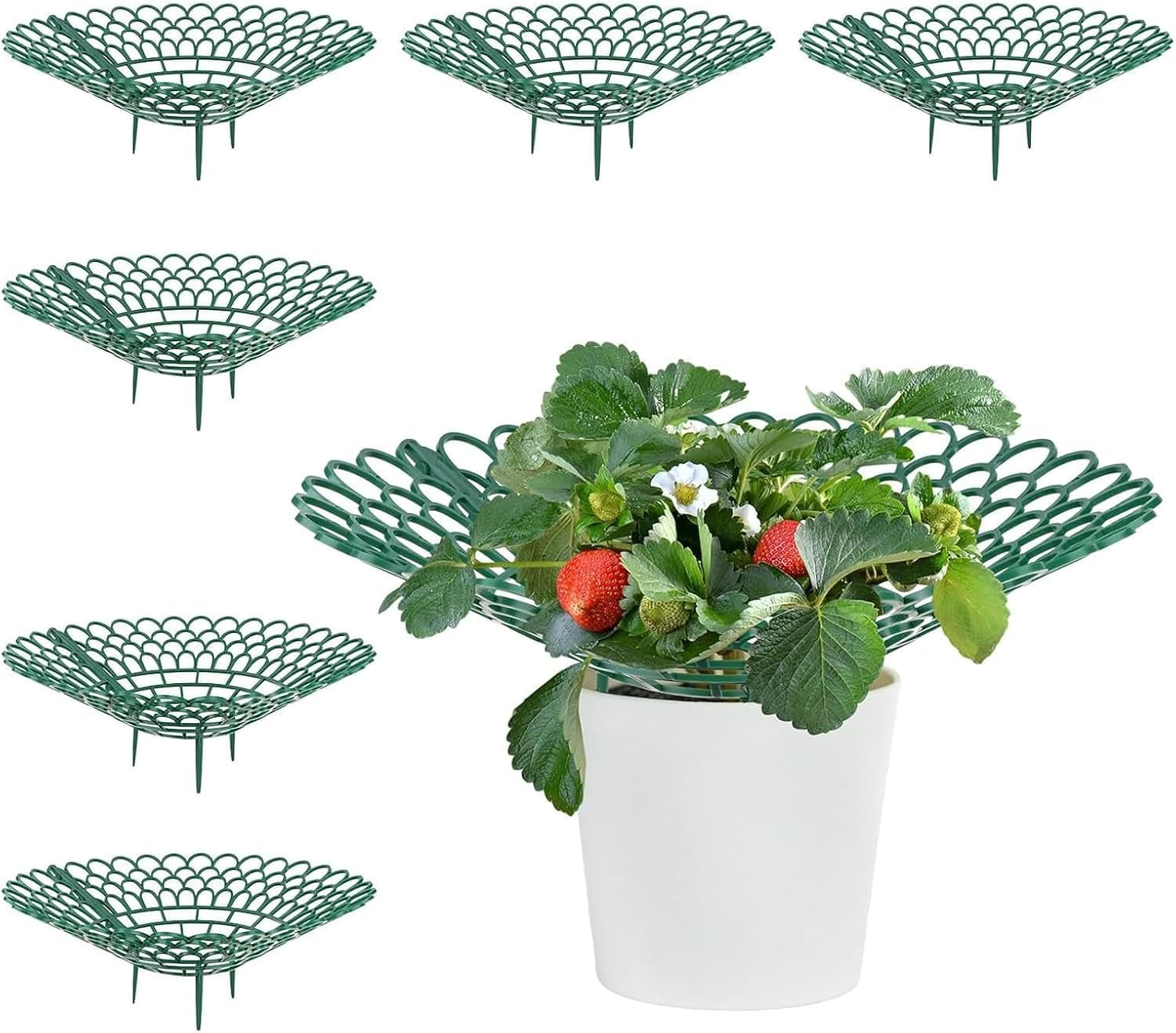 6Pack Strawberry Supports Petal-Shaped Strawberry Stand Plastic Fruits Growing Rack Balcony Vegetable Rack Planting Garden Accessories with 3 Sturdy Legs for Vegetable Garden Orchard image number 6