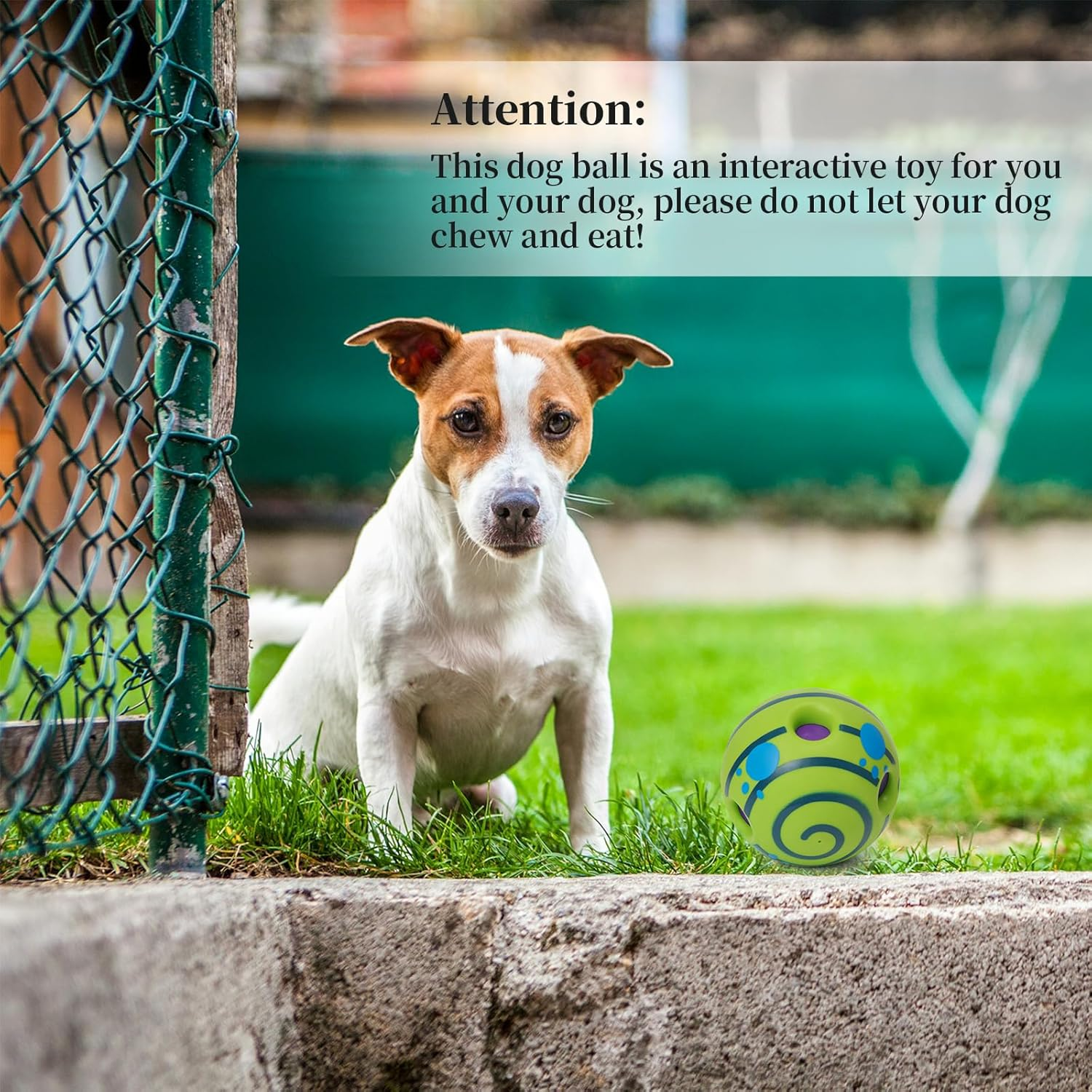 Yifugad Interactive Giggle Ball for Dog Squeaky Toy Keep Your Dog Happy All Day, Ball Toys for Large, Medium and Small Pet Cat Relieve Anxiety and Boredom image number 2