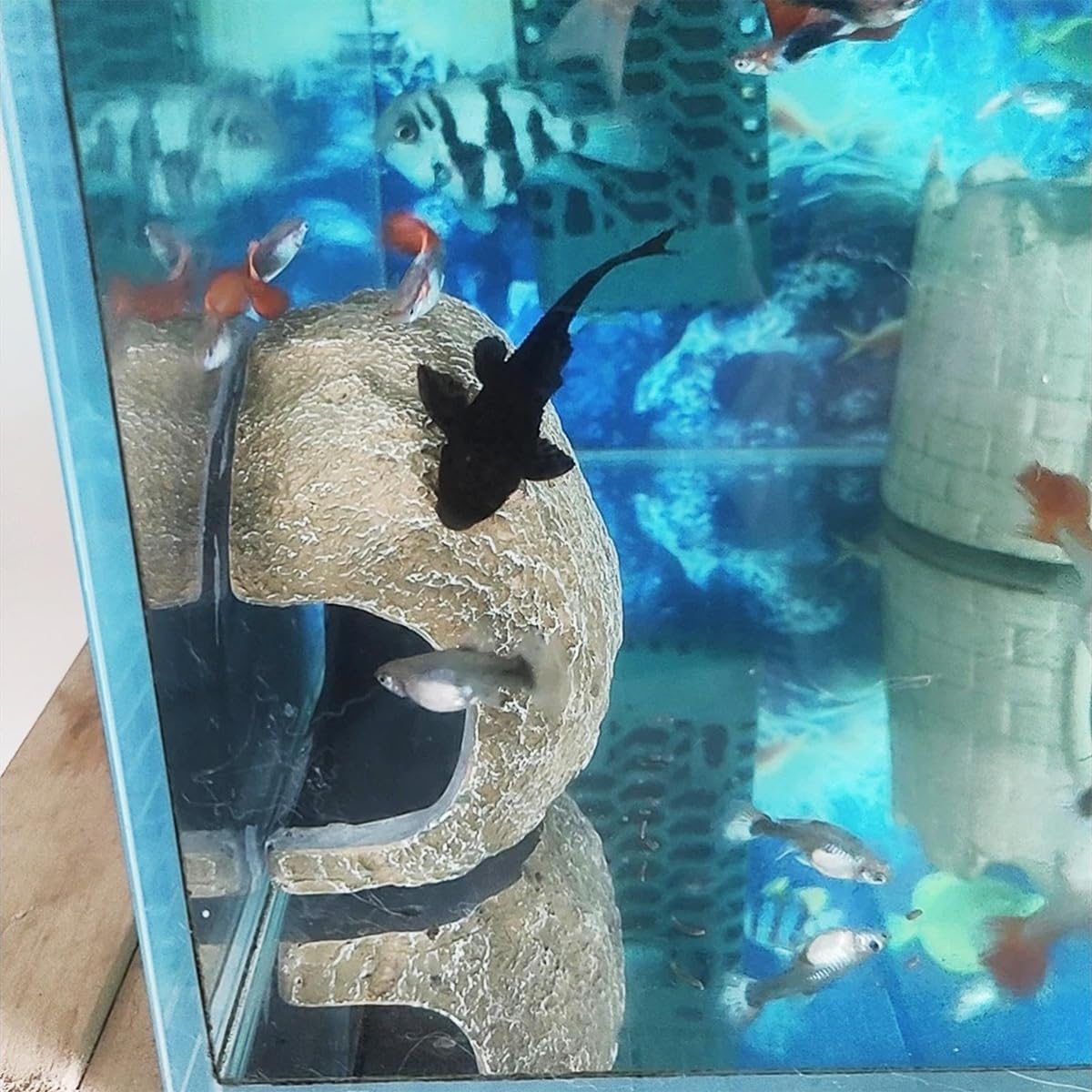 VOANZO Aquarium Rocks Hiding Shelter Rocks Aquatic Pet Rock Caves Solid Aquarium Shrimp Caves Magnetic Aquarium Caves Fish Tank Magnet Shelter House Removable Garden image number 4