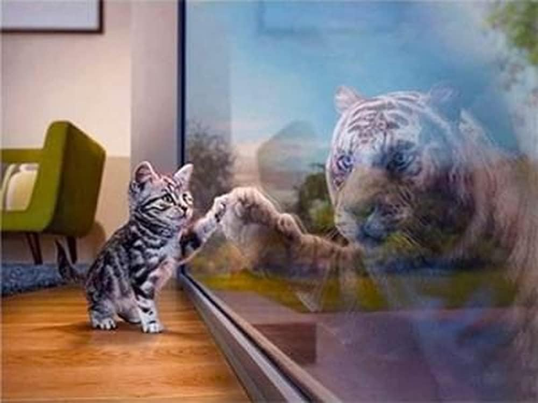 Diamond Painting Set, Picture with Kitten Motif and Accessories, Size Approx. 35 X 25 Cm, Craft Set for Painting with Rhinestones for Children from 5 Years