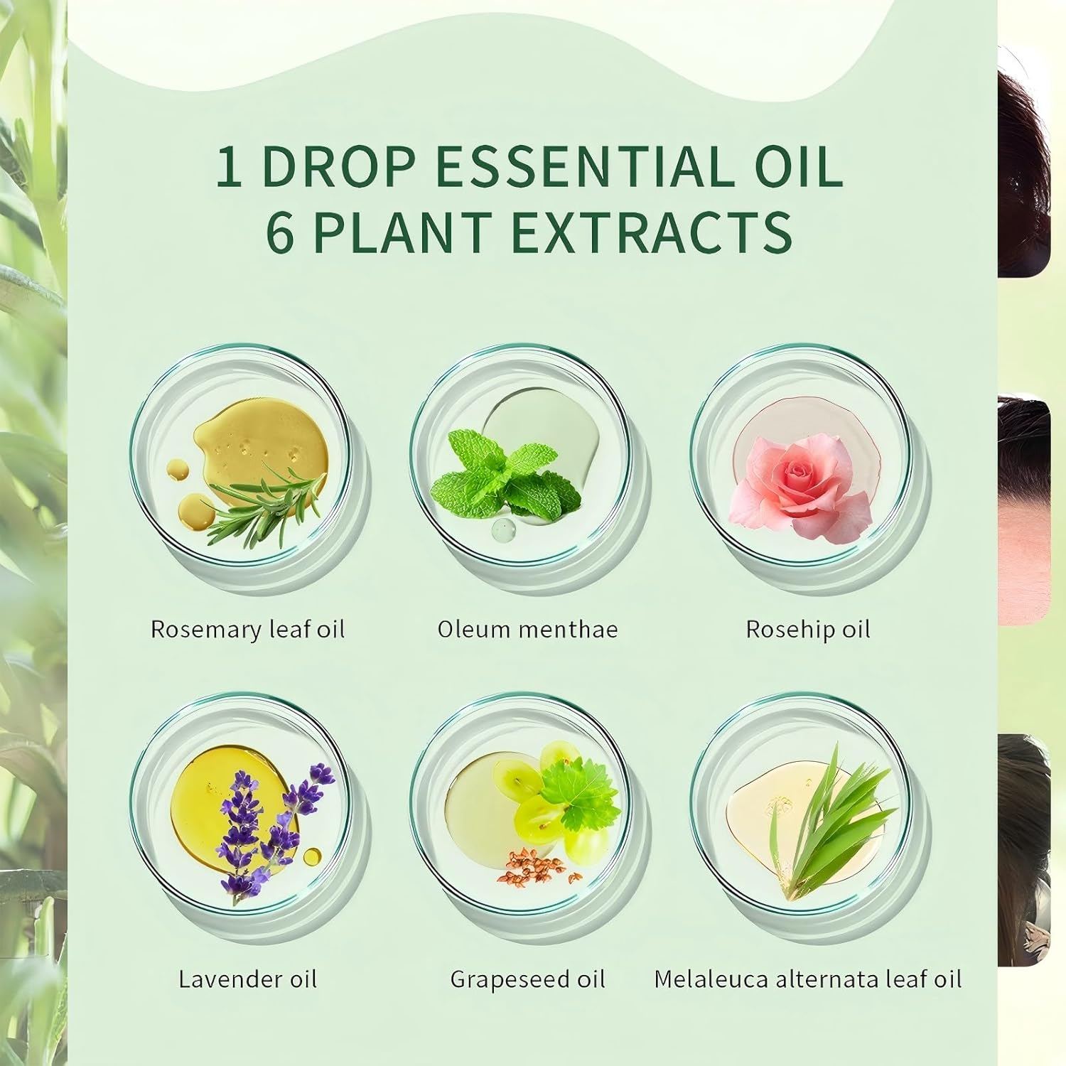 Rosemary Oil for Hair Growth 60Ml, 100% Pure Natural & Organic, Hair Strengthening Treatment | Nourishing & Volumizing for Repair Dry Damaged Hair image number 6