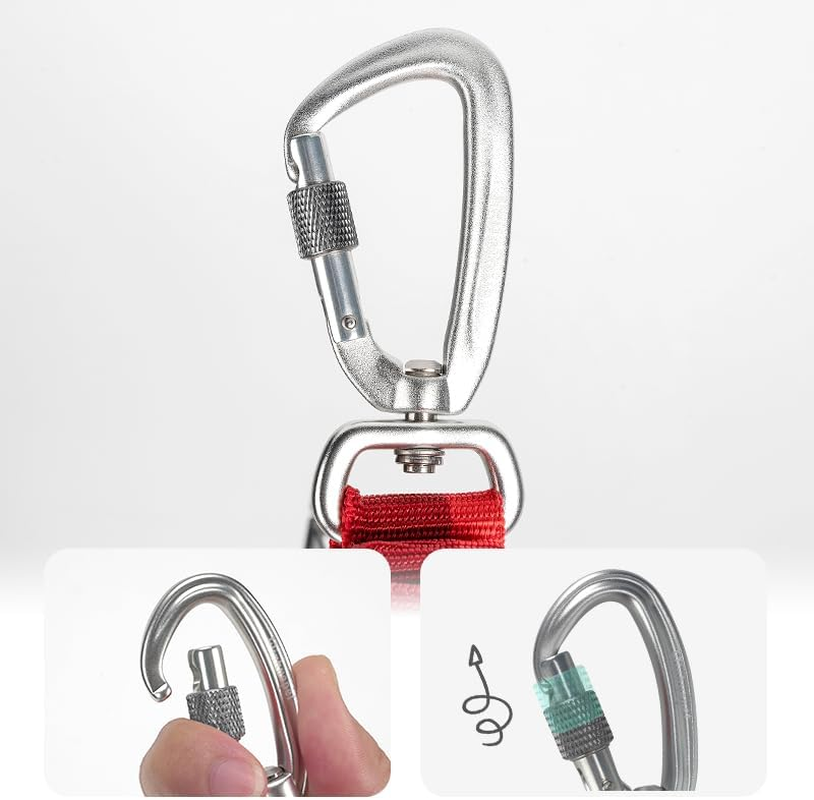 TRUE LOVE Training Lead Hands Free Leash Padded Handle Dog Walking Rope Tll2271(Black, M) image number 6