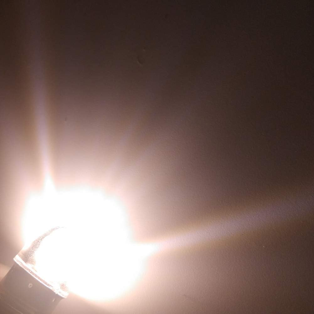 Ruiandsion 5Pcs E10 Base Socket LED Bulb 1W 12V Warm White Replace Torch Light Flashlight Bulbs,Negative Earth image number 3