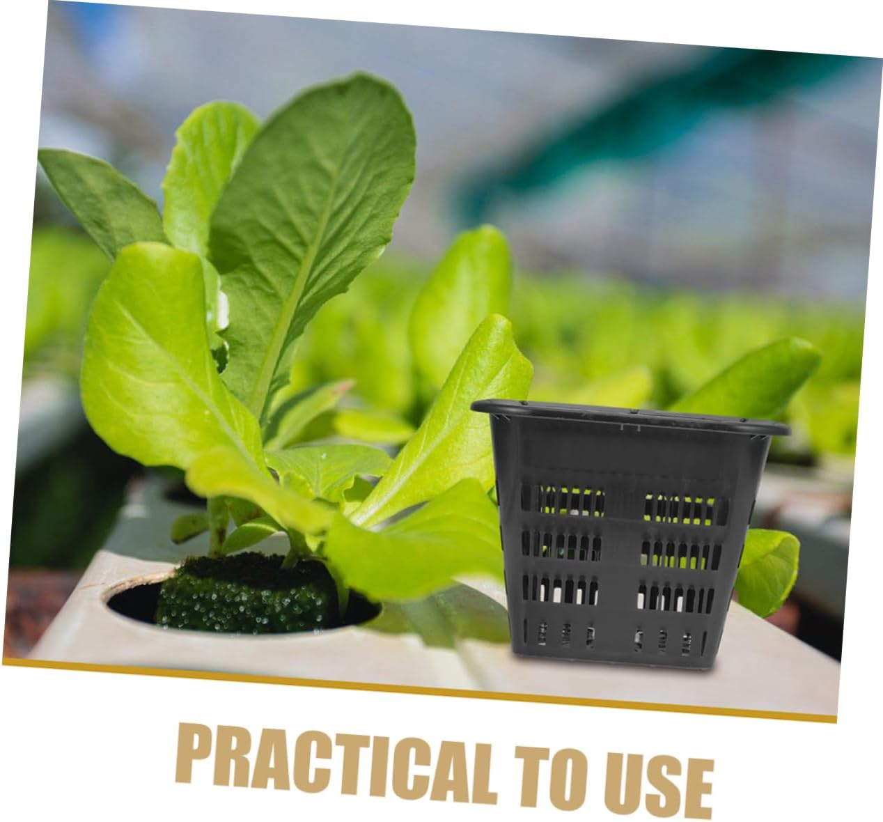 ROMISBABA 10Pcs Hydroponic Mesh Planting Cups Reusable Net Pots for Soil-Less Cultivation for Vegetables and Indoor Gardening and Ventilated Design image number 1