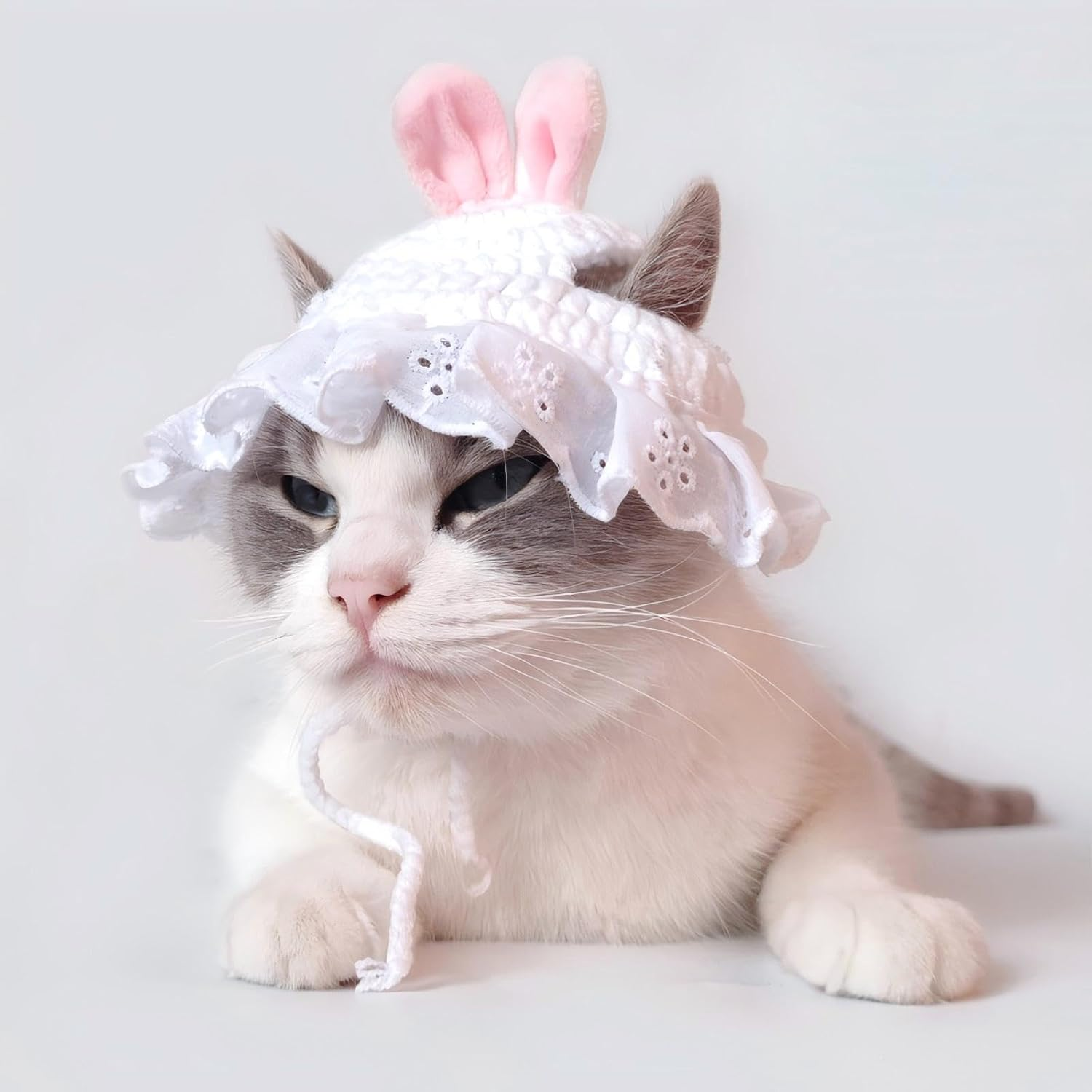 Cat Hat Adorable Kitten Clothes Cosplay Cap Halloween Dog Cat Pet Holiday Party Decoration for Cats and Small Dogs Kitten Puppy Party Costume Accessory Headwear image number 1