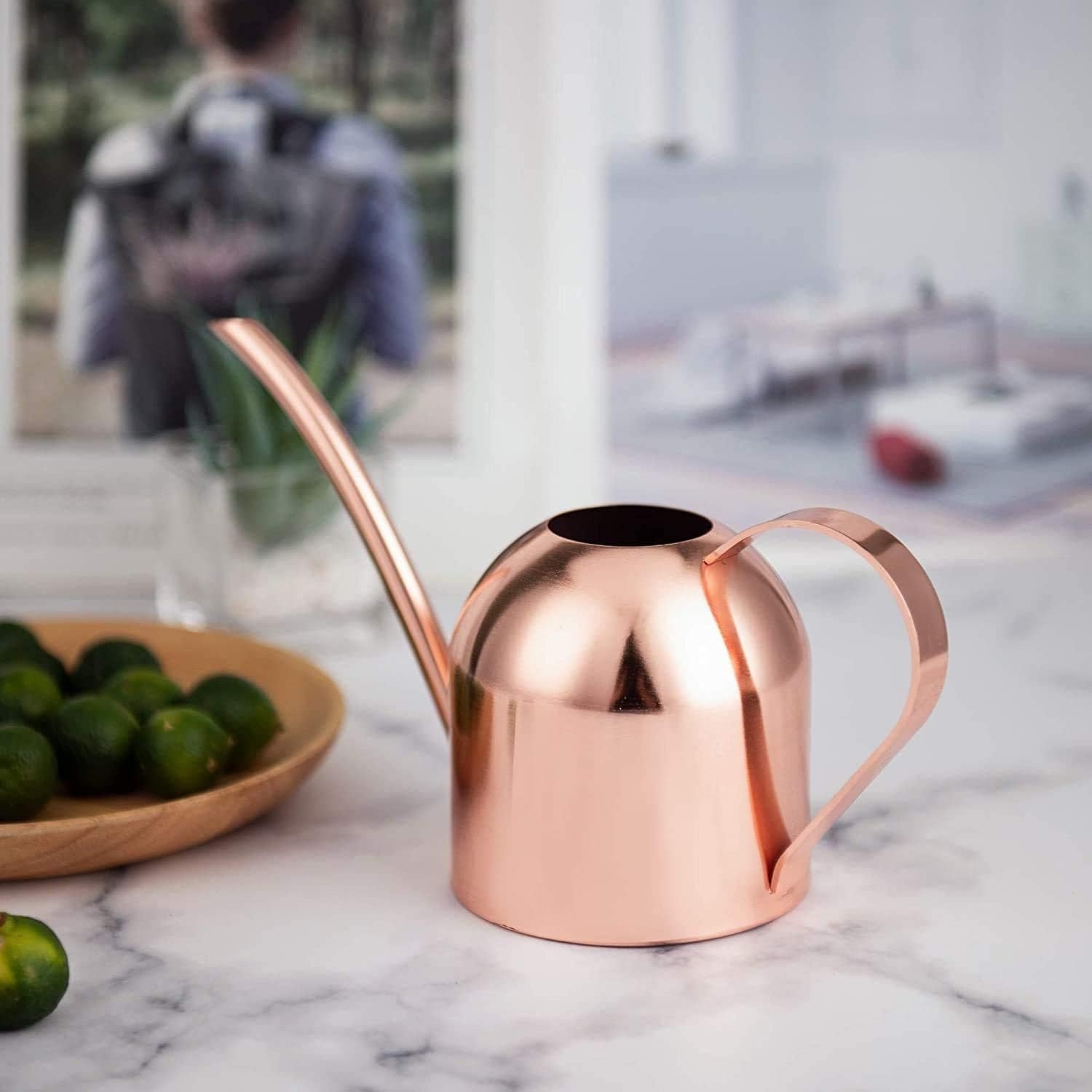 Indoor Watering Can Set - Bonus Mister Spray and Houseplants Book - 16 Oz Gold Long Spout Watering Can Set for Indoor Plants - Small Vintage Watering Can for Outdoor Plants - Modern Watering Can - Rose Gold image number 6