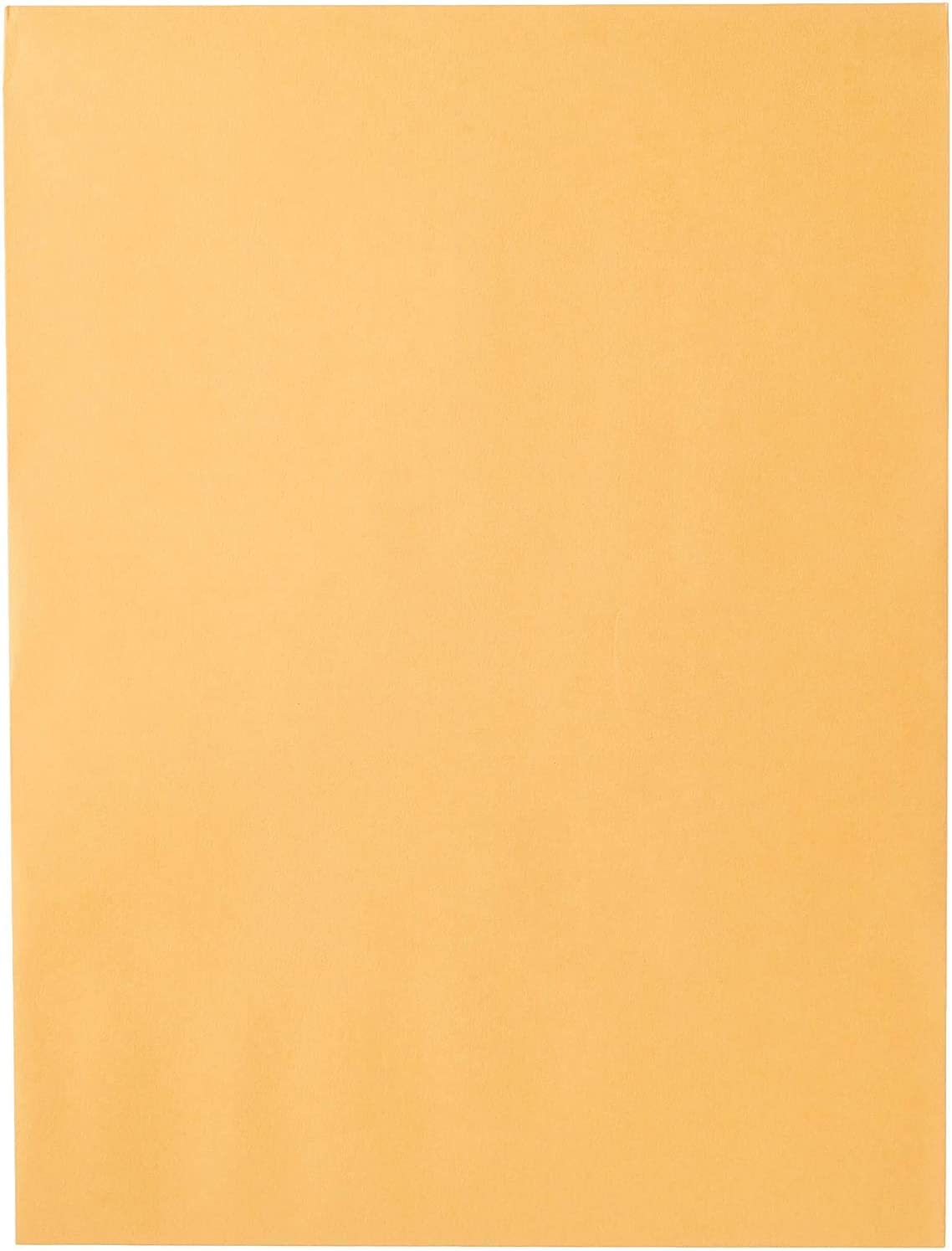 Mead Mailing Envelopes, Clasp Closure, 9" X 12", All-Purpose 24-Lb Paper, Brown Kraft Material, 20 per Box (76020) image number 1