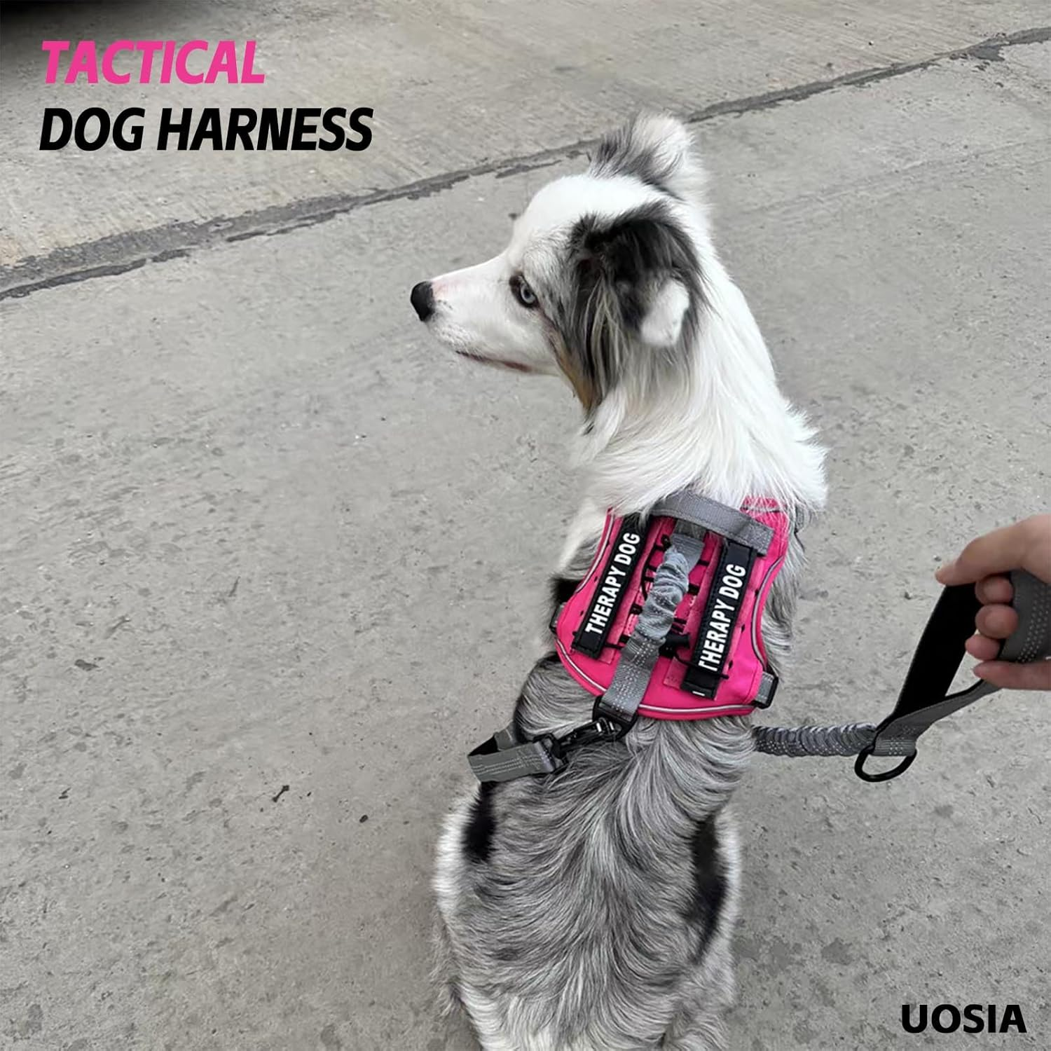 UOSIA Dog Tactical Vest Harness Military Dog Harness with Hook & Loop Panels and Handle No-Pull Service Dog Vest Adjustable Dog Harness and Pet Hand Holding Rope image number 3