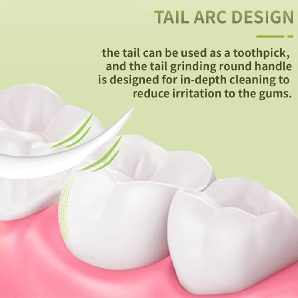 Frafuo 300 Pcs Dental Floss Picks-Tooth Flosser with Travel Handy Cases-High Toughness Professional Toothpicks with Floss for Family, Travel, Helps to Fight Tooth Decay and Keep Your Teeth Clean image number 2