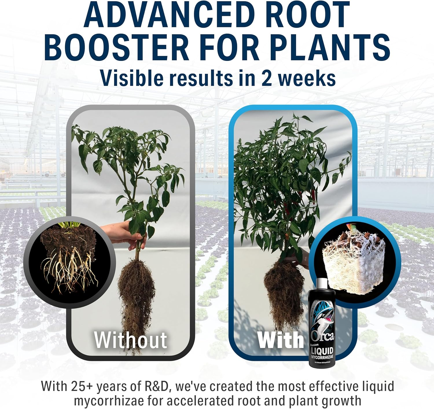 Plant Revolution PRPSO32 FGORCA-32OZ Orca Premium Liquid Mycorrhizae 32 Ounce, 1 Quart image number 2