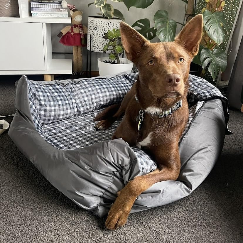 Drovers Dog and Co Swag- Memory Foam - Durable - Scratch and Stain Resistant - Camping - Dog Bed (Large) image number 4