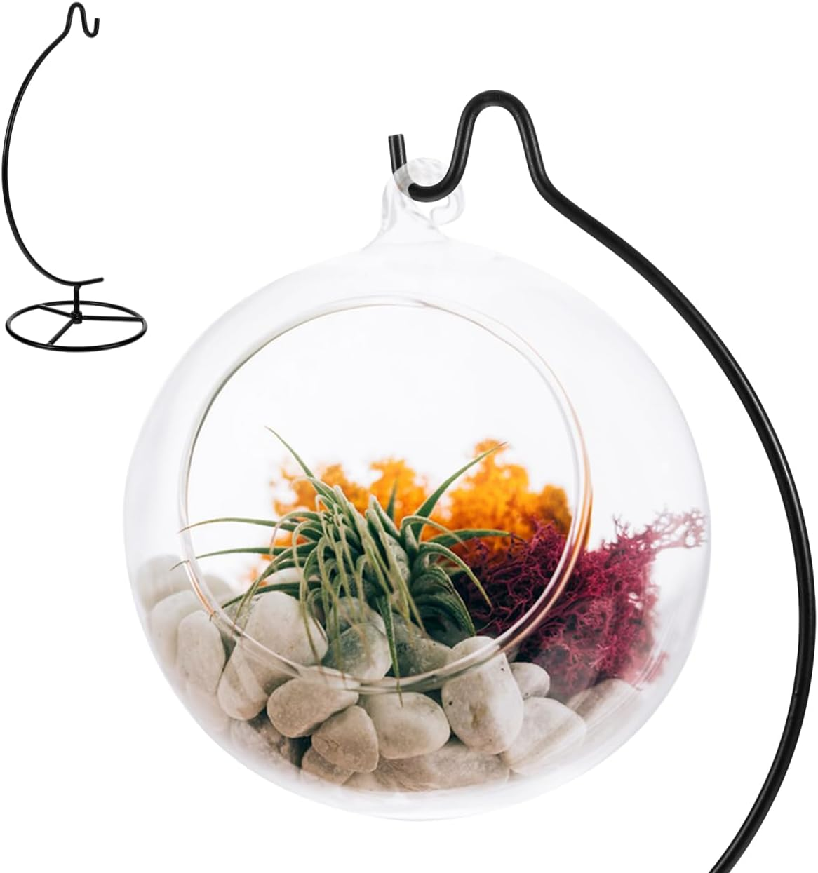 Cabilock Iron Black Iron Globe Stand Iron Display Stand Plant Terrarium Hanger Iron Globe Holder image number 5