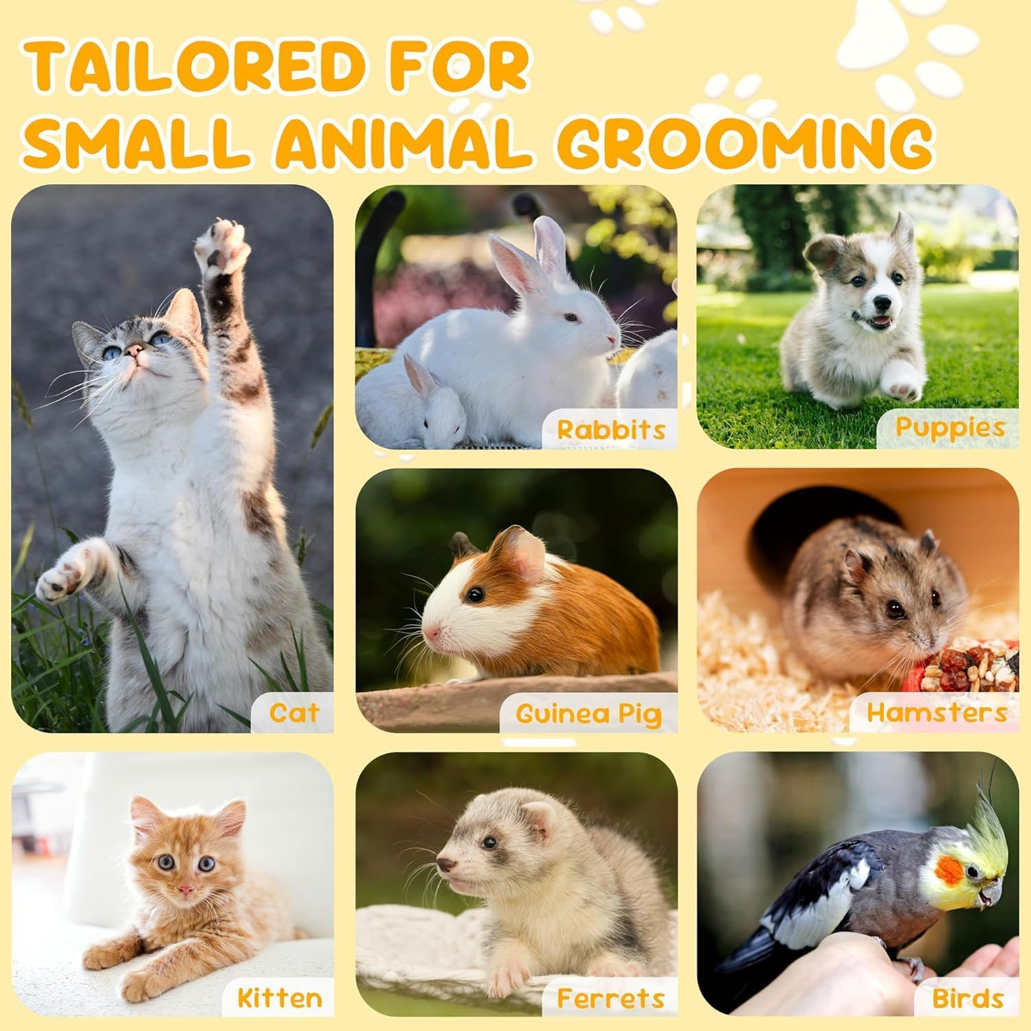 Cat Nail Clippers, 2 Pack Black Orange Pet Nail Clippers, Safe Cat Claw Clippers for Small Pets, Essential Grooming Tool for Cats and Kittens, Multi-Pet Household Use