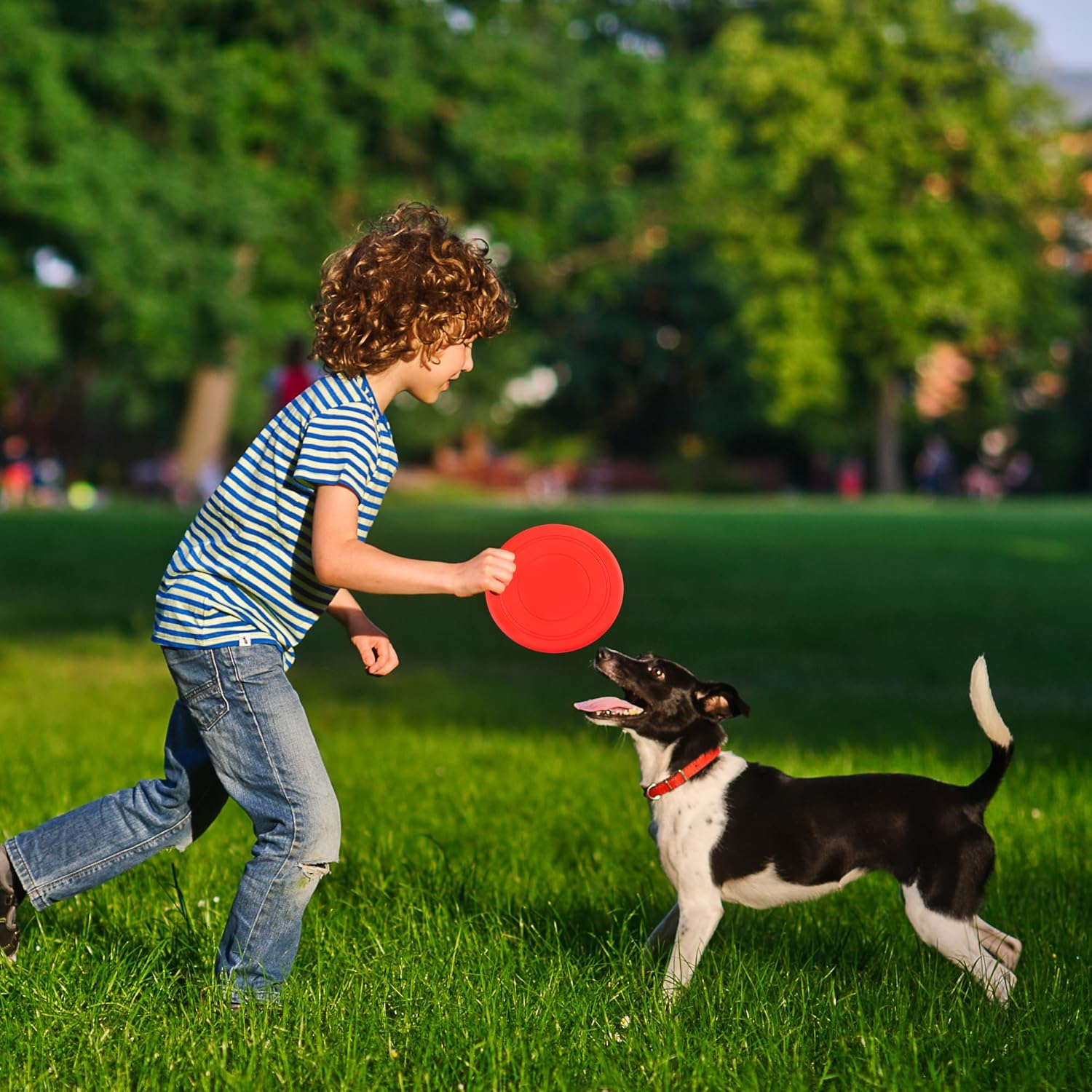 Yiliya Pack of 7 Dog Frisbees, 18 Cm Dog Disc, Dog Toy Frisbee, Rubber Frisbee, Dog Frisbee, Dog Training Dog Toy Set for Dog Training, Throwing, Catch and Play (7 Colours)