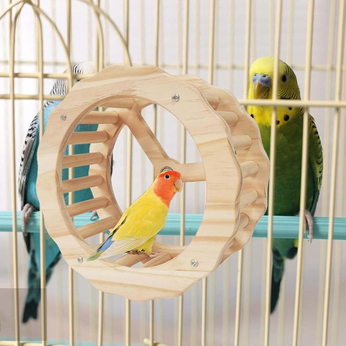 AIMALL Wooden Parrot Exercise Wheel Toy with Silent Bearings and Durable Design for Climbing and Play, Bird Cage Accessory image number 6